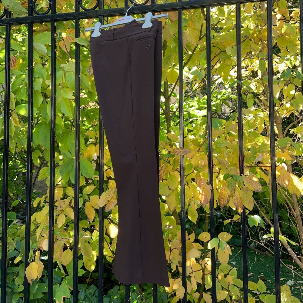 **2/$25**BCBG brown pants